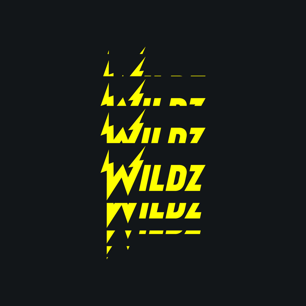 Wildz arvostelu
